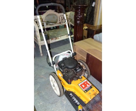 A DR trimmer mower with Briggs and Stratton engine. 