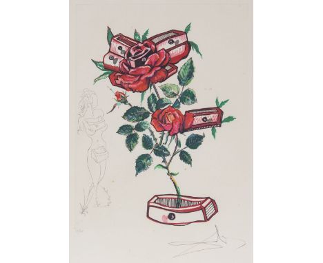 Salvador Dalí1904 Figueras - 1989 Figueras - "Rosa e morte Floriscens" (aus der Serie: Florals) - Farblithografie mit Radieru