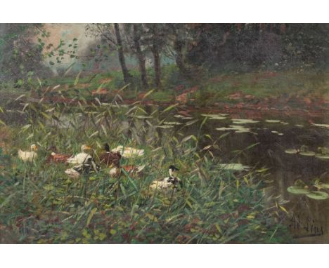 Adolf Lins1856 Kassel - 1927 Düsseldorf - Enten im Schilf - Öl/Lwd. 51 x 74,5 cm. Sign. r. u.: Ad. Lins. Rahmen. - Lit.: Th.-