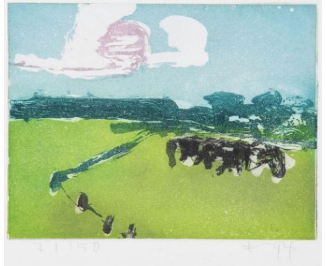 Klaus Fussmann1938 Velbert/Rheinland - lebt in Berlin und Gelting - "Rheinwiesen bei Bislich" - Farbradierung/Papier. 7/150. 