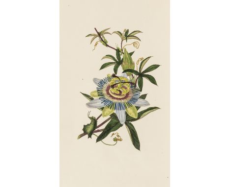 NO RESERVE [Hey (Rebecca)] The Moral of Flowers, first edition, half-title, hand-coloured engraved frontispiece and 23 plates