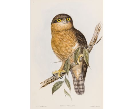 Birds.- Gould (John) The Birds of Australia, 8 vol. (with Supplement), 681 colour plates, 3 double-page, bookplates of Madela