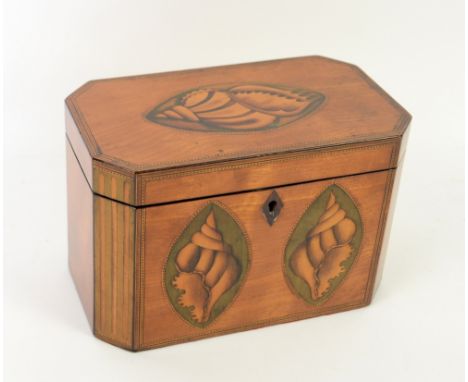 Early 19th century satinwood shell inlaid tea caddy, the hinged top enclosing two compartments, 13cm x 27cm .    