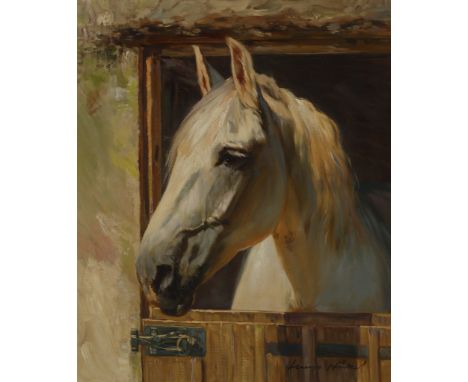Hans Nickel. 1916 Böhmen - 1987 Bonn. Sign. Kopf eines Schimmels. Öl/Lwd. 60 x 50 cm. R