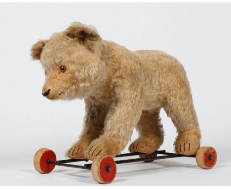 Steiff-Bär auf Rädern. Knopf im Ohr. Stark beriebenes Fell. Mitte 20. Jh. L 35 cm