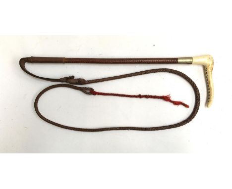 A child or ladies hunting whip with metal collar, antler handle, and 3 1/2 thong and lash 