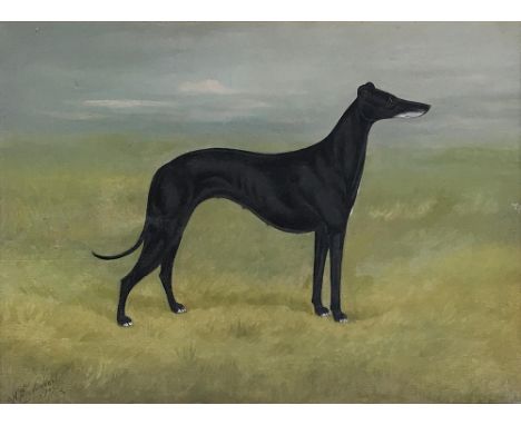 A Stevenson, portrait of a greyhound in landscape - 'Sandringham', oil on canvas, signed and dated 1909 lower left, 29x40cm