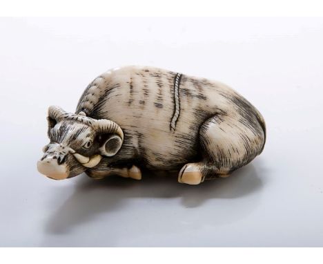 An early 19th century Japanese carved ivory netsuke by Tomatada, carved as a recumbent ox, bearing signature to the underside