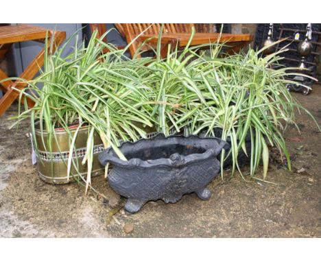 A set of three cast iron jardinieres of boat form and pierced brass plant trough