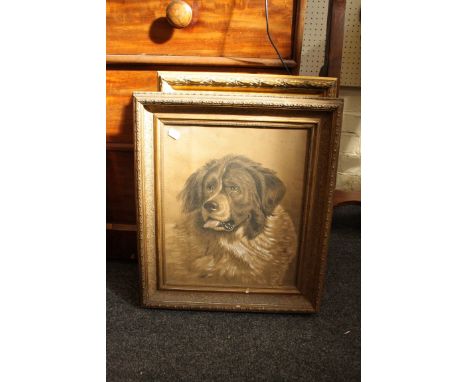 R W Slacke 1883 A portrait study of a Newfoundland charcoal and chalk signed and dated 1883 40 x 33cm