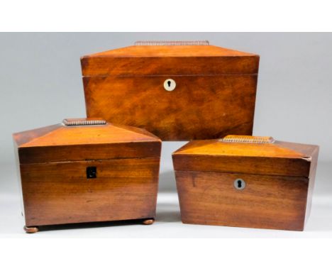 An early 19th Century mahogany sarcophagus-shaped two division tea caddy, 11ins x 6ins x 6.75ins high, and two smaller simila