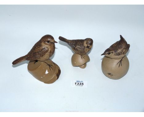 Three Poole Pottery birds including Blue Tit on mushroom, Robin on a pot and Wren on an apple.
