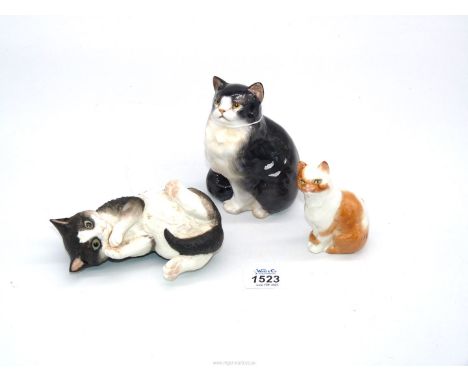 A Royal Worcester porcelain short haired cat by F, Doughty, a Worcester kitten in black and white matt finish and a Royal Dou
