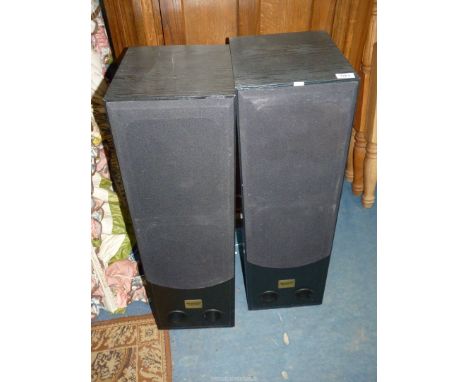 A pair of black Ash cased Tower Speakers by Acoustic Reference, model SM-1000.