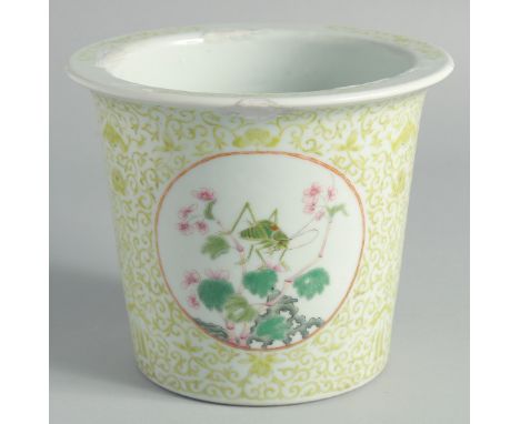 A CHINESE FAMILLE ROSE PORCELAIN PLANT POT, decorated with a panel of an insect and two panels of flora, the base with six-ch