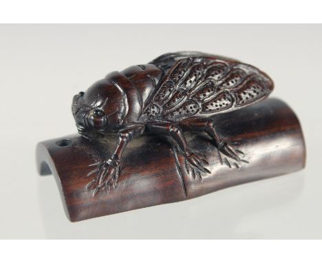A JAPANESE CARVED HARDWOOD NETSUKE OF AN INSECT crawling on bamboo, signed, 5cm wide.