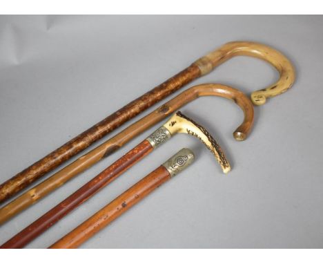 A Vintage Royal Fusiliers Marching Cane, Horn Handled Crook, Bone Handled Crop and Walking Stick 