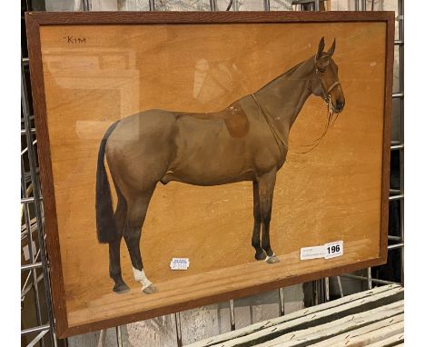 FLORENCE MABLE HOLLAMS (1876-1963) PORTRAIT OF A HORSE KIM - OIL ON PANEL , SIGNED  45CM X 34CM