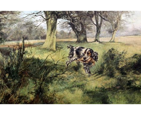 § Henry Wilkinson (1921-2011)oil on canvasSpaniel retrieving woodcocksigned20 x 30in.