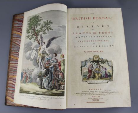 Hill, John, Sir - The British Herbal, First edition. Large folio, original sheep boards - rebacked. Allegorical coloured engr