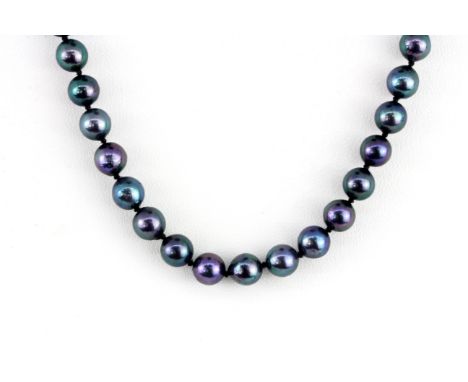 A 14ct white gold (stamped 585) black pearl necklace with a sapphire and diamond set gold clasp, L. 49cm.