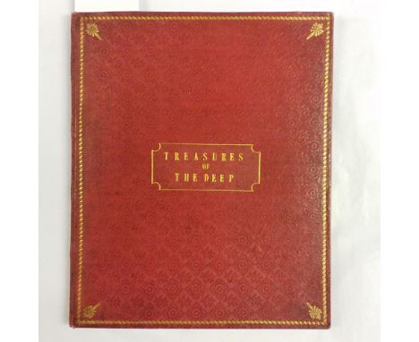 Algae. Treasures of the Deep; or, Specimens of Scottish Sea-Weeds. Natural Order Algae, David Bryce, Glasgow, 1847, 46 specim