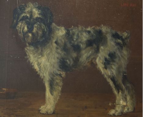 English School,  "Lord Bobs", dog portrait, indistinctly signed, damaged.