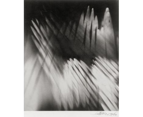   Jacobi, Lotte: Photogenic abstraction; Vulture  Photogenic abstraction; Vulture. 1946/printed later. 2 photo postcards. Eac