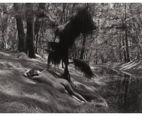   Kavafyllakis, Steve: Sacrifice to a Minor Deity # 1  "Sacrifice to a Minor Deity # 1". 1996. Selenium toned gelatin silver 