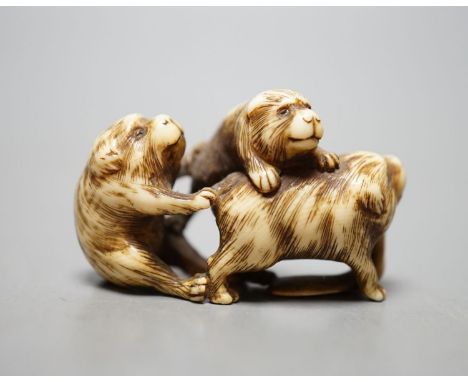 A Japanese ivory netsuke monkey group, 19th century, signed, 5cm wide.