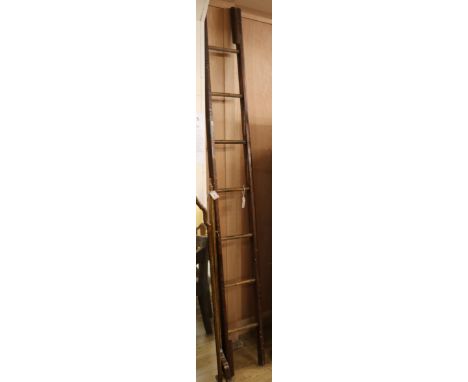 A metamorphic ladder W.30cm