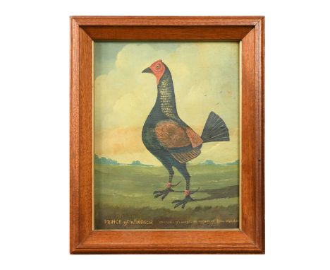 British Provincial School, circa 1900 Portrait of the fighting cock The Prince of Windsorinscribed with the name and 'Champio