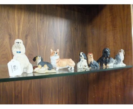 A COLLECTION OF BORDER FINE ARTS DOG FIGURES, comprising Poodle, King Charles Cavalier, King George Terrier, Corgi and Schnau