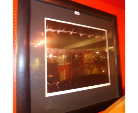 A contemporary limited edition monochrome print depicting a close up view of a cactus 2/5, signed Anushka, in an ebonised fra