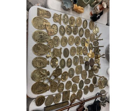 A LARGE COLLECTION OF VARIOUS LOCAL INTEREST BRASS PLAQUES TO INCLUDE THE TRACTION ENGINE RALLY, POYNTON SHOW,  ASTLE PARK RA