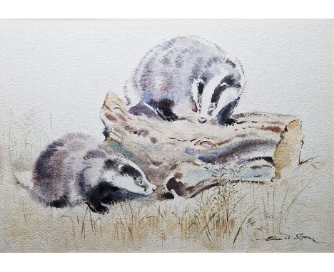 Eileen Alice Soper (1905-1990) Watercolour on paper Badgers in landscape, signed lower right, framed and glazed, 36cm x 25.5c