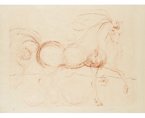 δ Salvador Dali (1904-1989)L'Etalon Blanc (Hommage au cheval) (Field 74-9; M &amp; L 639b)The scarce etching printed in sepia