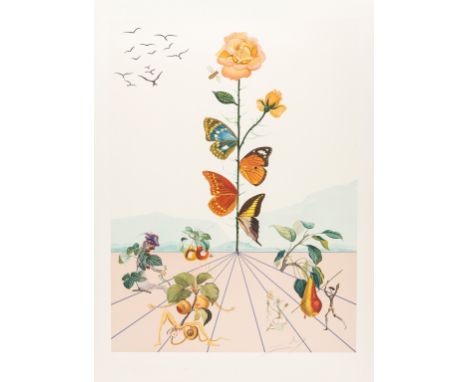 δ Salvador Dali (1904-1989)Flordali I (Field see p233; M&amp;L 1586)Lithograph printed in colours, 1981, with the printed sig