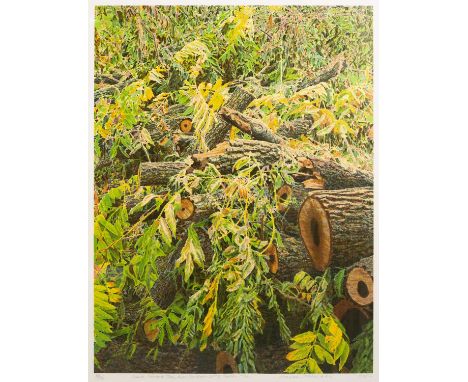 Norman Stevens (1937-1988)
Back Walnut Tree, Kew Gardens, 1988
signed, titled, numbered, and dated in pencil (in the margin)
