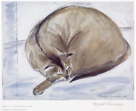 Elizabeth Blackadder (1931-2021)
Abyssinian Cat, Asleep, 1997
32/500, signed and numbered in pencil (in the margin)
lithograp