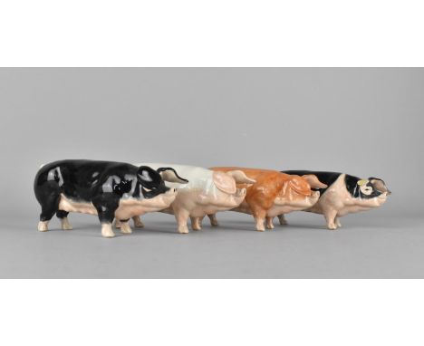 Four Acorn Ceramic Studies of Pigs (One with Ear AF) 