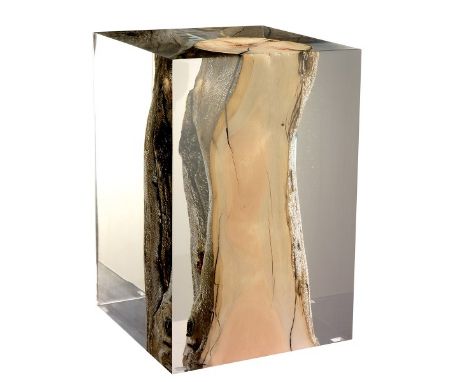 Nilleq Acrylic Drift Wood  Table L 30 X 30 X 45cm  Nilleq Side Table Is Crafted From A Burnt Driftwood Trunk Suspended In Acr