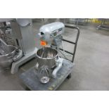 Planetary Mixer