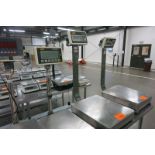 Platform Scale