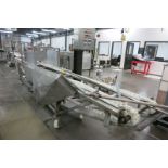 Coating Conveyor