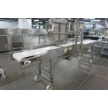 Coating Conveyor