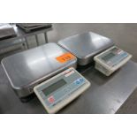 Platform Scales