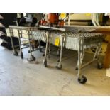 Portable Nestaflex Extendable Skate Conveyor, Model 175