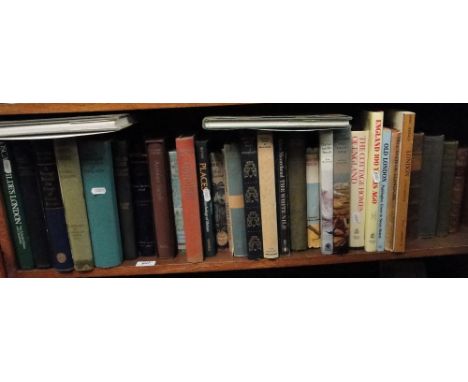 Shelf of books on travel