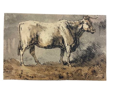 19th century English School, mixed media portrait of a steer, signed with initials, 8 x 13cm, mounted but unframedWe can pack